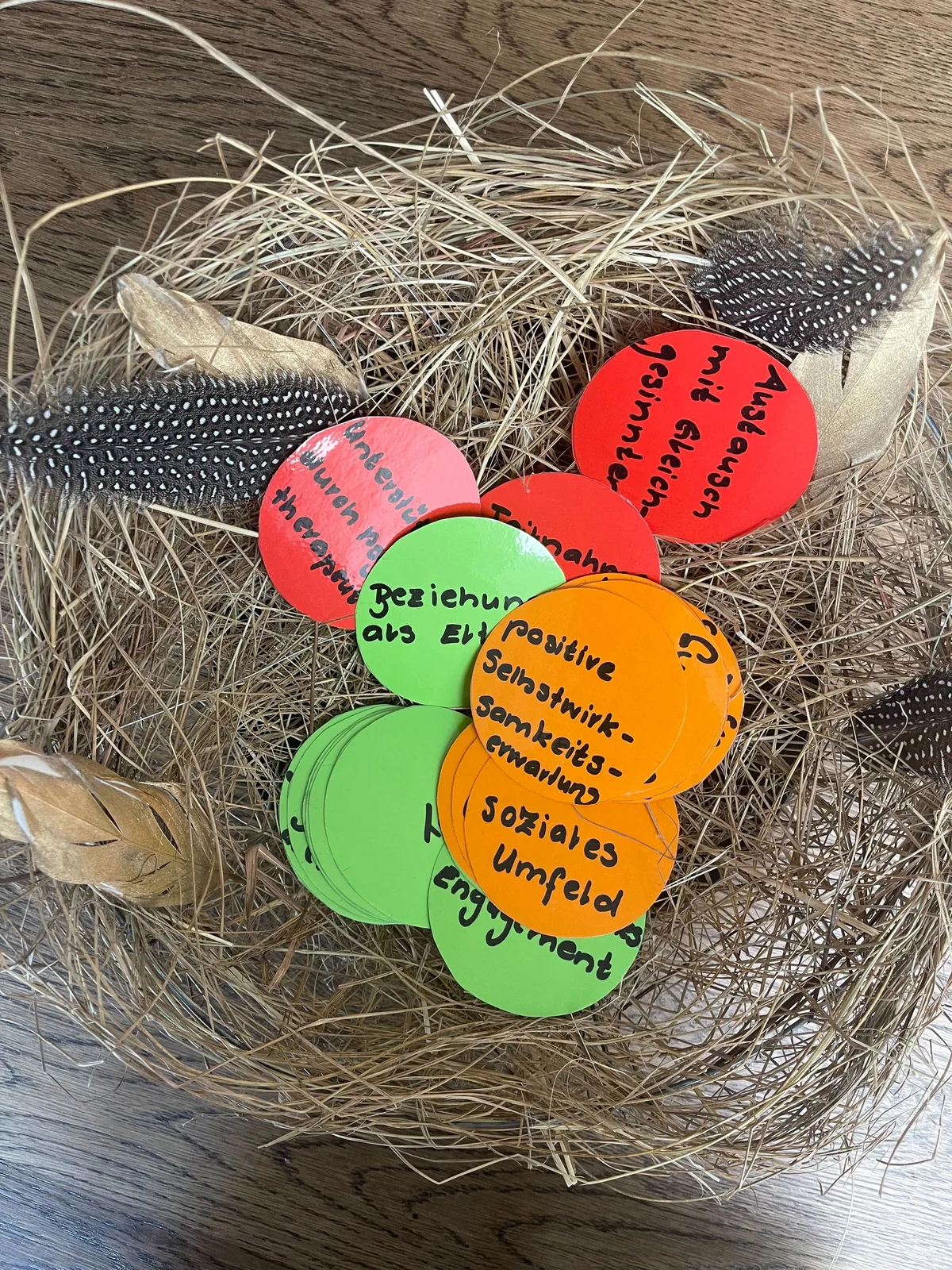 Raphaela Hügli geht ihre Beratungen auf eine systematische Art und Weise an: mit einem "Kartenspiel". Nest mit Fragen für Betroffene